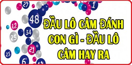 dau-cam bắt đề kép dựa vào lô câm